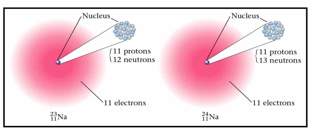 CSIR UNIT 1 Notes by Biotecnika - FREE PDF Download.