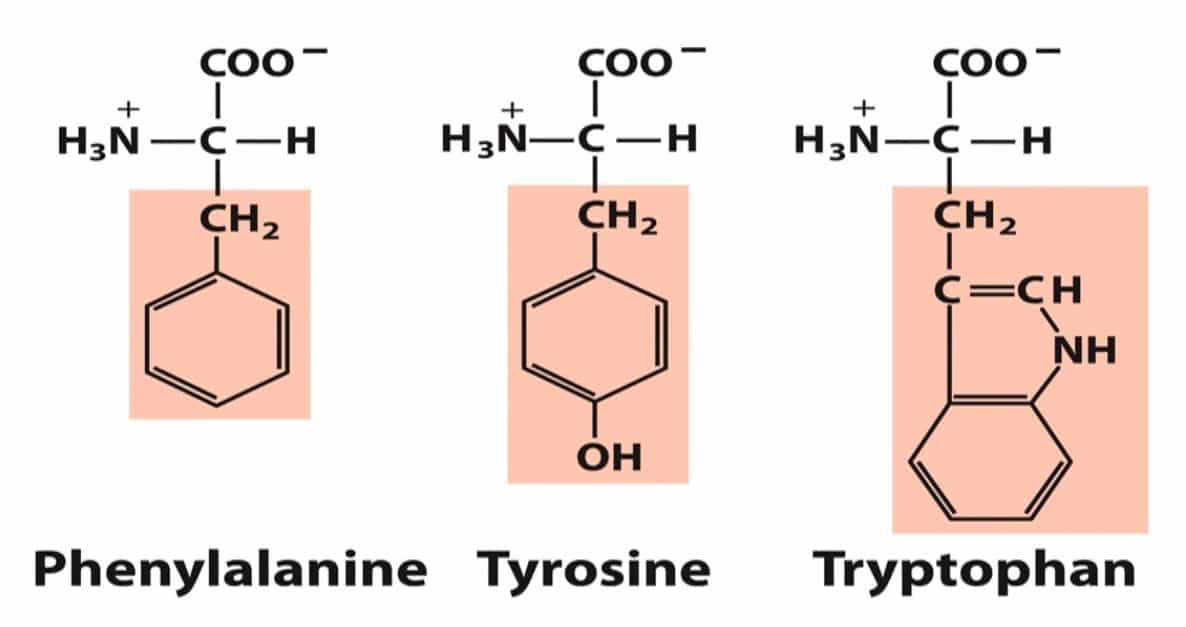 CSIR UNIT 1B Notes