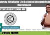 University of Calcutta Job
