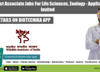 WII Project Associate Jobs