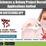 WII Project Vacancies 2022