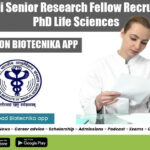 AIIMS PhD Research Post