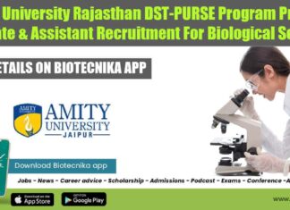 Amity University Rajasthan Jobs