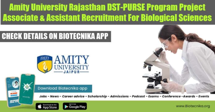 Amity University Rajasthan Jobs