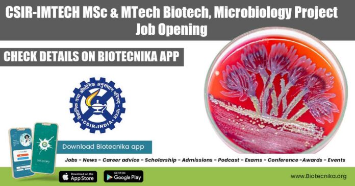 CSIR IMTECH Job Vacancy