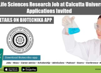 Calcutta University PhD Job