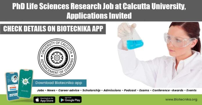 Calcutta University PhD Job