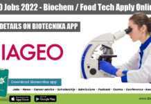 DIAGEO Jobs 2022