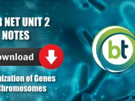 CSIR NET Notes UNIT 2 – Organization of Genes & Chromosomes – Download Full PDF CSIR UNIT 2 Notes