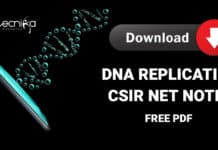 CSIR DNA Replication Notes