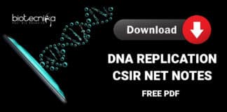 CSIR DNA Replication Notes