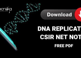 CSIR DNA Replication Notes