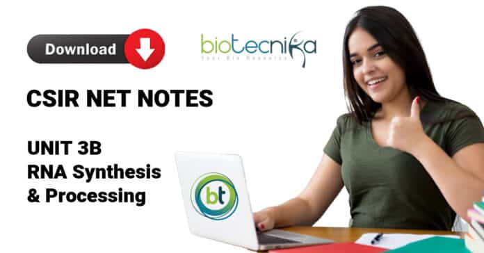 CSIR RNA Synthesis Notes