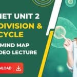 Download CSIR NET UNIT 2D Notes – Cell Division & Cell Cycle Notes & Mind Maps PDF + Video Lecture CSIR Life Science Notes
