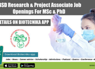 IBSD Jobs 2022