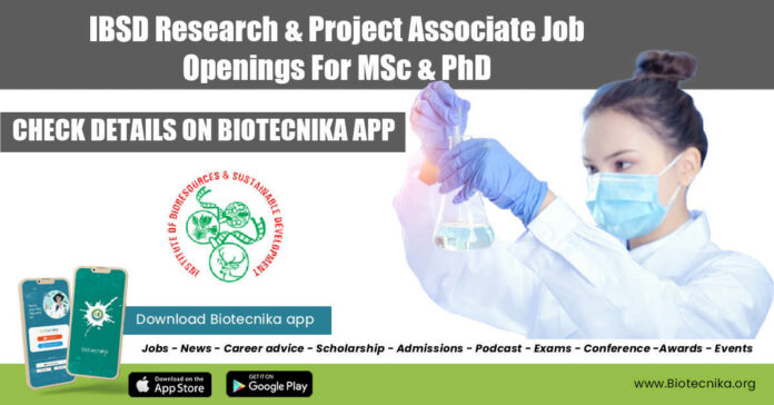 IBSD Jobs 2022