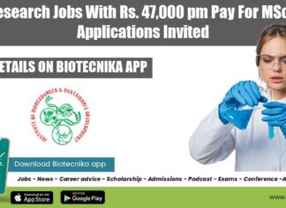 IBSD Research Jobs With