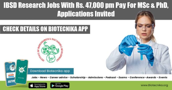 IBSD Research Jobs With