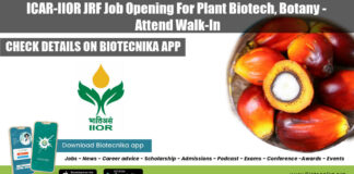 ICAR-IIOR JRF Job