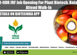 ICAR-IIOR JRF Job