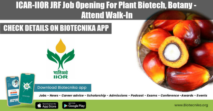 ICAR-IIOR JRF Job