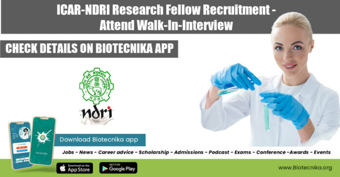 ICAR-NDRI Research Fellow Recruitmentt