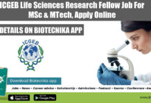 ICGEB Life Sciences Research Fellow Job For MSc & MTech, Apply Online ICGEB Life Sciences Research