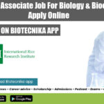 IRRI Project Associate Job For Biology & Biochemistry, Apply Online IRRI Project Associate Job
