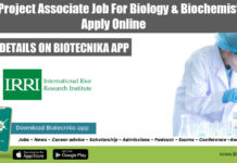 IRRI Project Associate Job For Biology & Biochemistry, Apply Online IRRI Project Associate Job