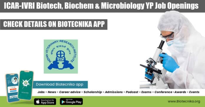 IVRI Young Professional Jobs