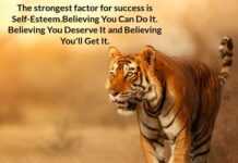 Biotecnika Times Newsletter 03.05.2022 IISER Summer Research, BITP 2022, CSIR-IGIB