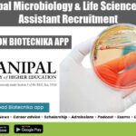 MAHE Manipal Vacancy 2022