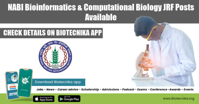 NABI Bioinformatics JRF Job