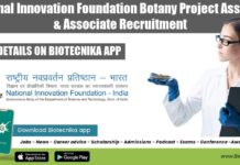 National Innovation Foundation Botany Project Assistant & Associate Recruitment NIF Botany Jobs
