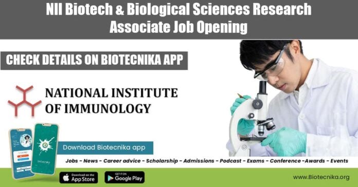 NII PhD Vacancy Available