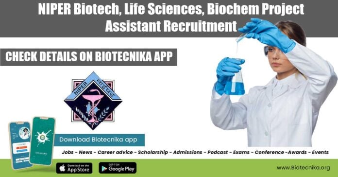 NIPER Project Assistant Job