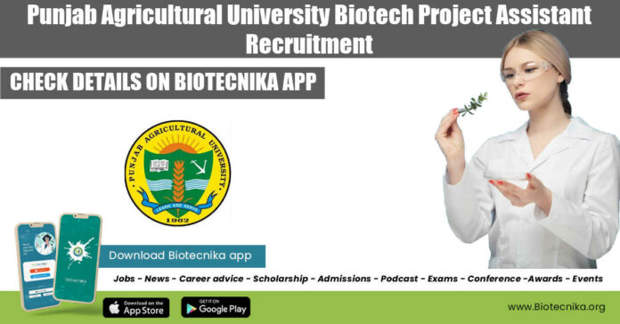 PAU Biotech Project Assistant Jobs
