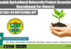 Punjab Agricultural University Project Associate Recruitment For Biotech PAU Biotech Project Associate