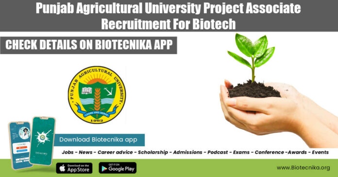 PAU Biotech Project Associate