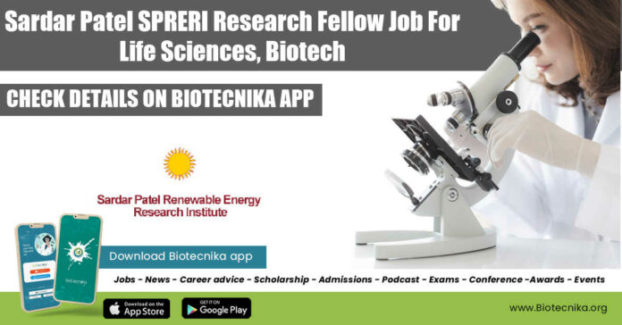 SPRERI JRF Job 2022