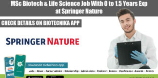 Springer Nature Job 2022