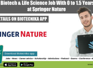 Springer Nature Job 2022