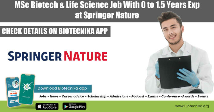 Springer Nature Job 2022