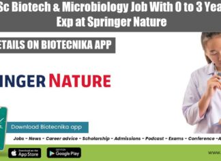 Springer Nature Vacancy 2022