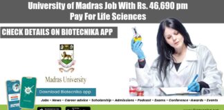 University of Madras Job