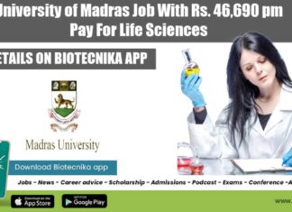 University of Madras Job