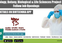 WII Zoology, Botany, Biological & Life Sciences Project Fellow Job Openings WII Project Fellow Vacancies