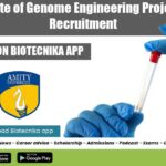 Amity AIGE Project Assistant