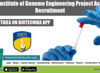 Amity AIGE Project Assistant