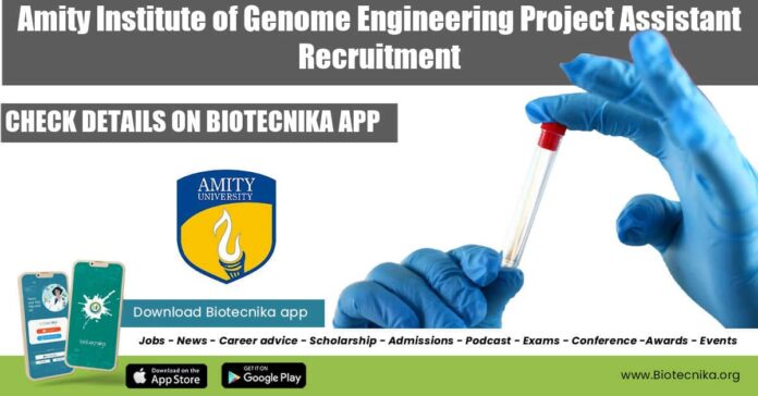 Amity AIGE Project Assistant